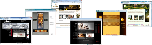 Website Projektauszug unserer erstellten Internetauftritte.